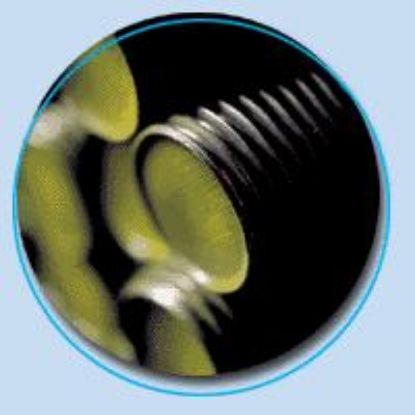 Afbeelding - 7007020-jpg